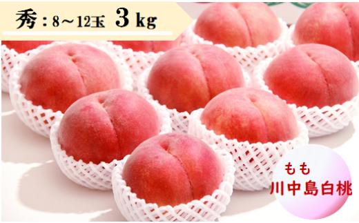 
                  08-08-015　もも(川中島白桃)3kg
                