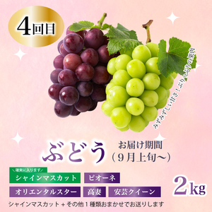 【定期便1年間】豪華フルーツお得パック いちご450g, さくらんぼ500g, 梨2kg, ぶどう2kg, りんご2kg 　詰め合わせ 定期便 1年間 採れたて 新鮮 産地直送 広島県三原市 0590