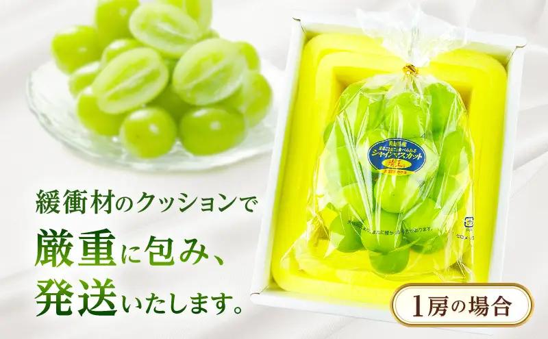 ぶどう 2026年 先行予約 【プレミアムシャインマスカット 晴王 1房 約700g】 赤秀品以上  岡山県船穂産 葡萄 ブドウ ギフト ハレノフルーツ 皮ごと食べる みずみずしい