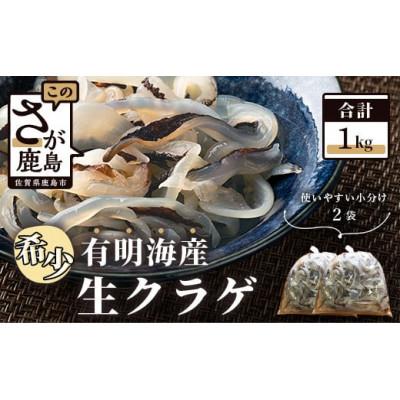 ふるさと納税 鹿島市 佐賀県産計1000g生クラゲ