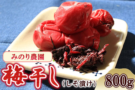 うめぼし 800g (しそ漬け)《30日以内に出荷予定(土日祝除く)》熊本県 葦北郡 津奈木町 梅 梅干し 天日干し みのり農園 