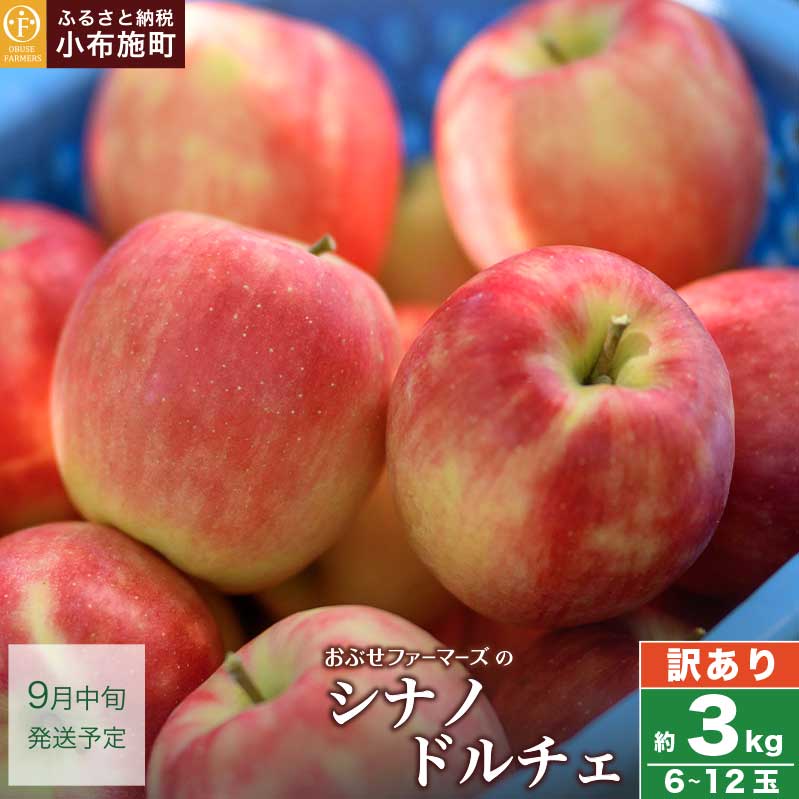 【ふるさと納税】【訳あり】シナノドルチェ 約3kg 6〜12玉 ［ おぶせファーマーズ ］ 数量限定 期間限定 果物類 林檎 りんご リンゴ 規格外 不揃い フルーツ 長野県産 信州産 6000円 令和7年産 【2025年9月中旬発送】