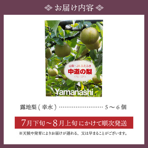 〈2027年度配送分〉露地梨「幸水」 5-6玉（2027年7月下旬～8月上旬にかけて順次配送予定） 梨 フルーツ