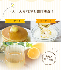 【数量限定】希少ハチミツ 南紀熊野蜜 200g / 古座川流域で採取した日本みつばちのはちみつ  南紀熊野蜜A【tkd200】