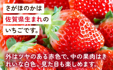 【2027年1月以降順次発送】淡雪・さがほのか 紅白いちごセット 220g×8パック / 佐賀県 / 岸川農園 [41ASAG012]