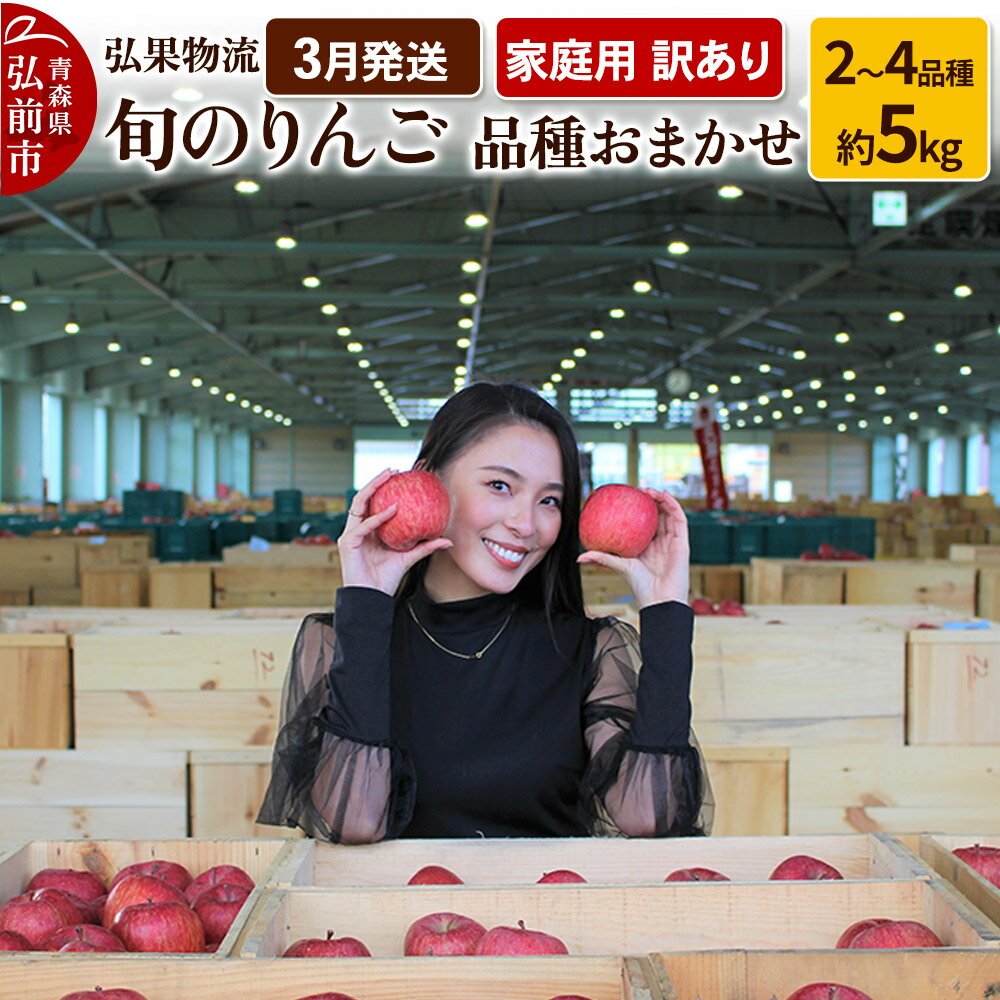 【ふるさと納税】りんご【3月発送】家庭用 訳あり 旬のりんご 品種おまかせ 約5kg 2品種〜4品種