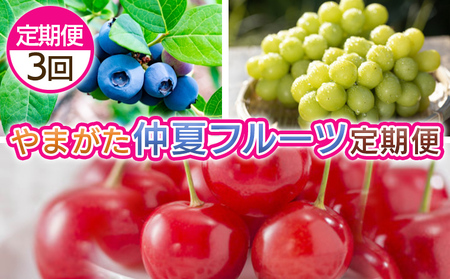【定期便3回】やまがた　仲夏フルーツ定期便 【令和8年産先行予約】FS25-701 くだもの 果物 フルーツ 山形 山形県 山形市 2026年産