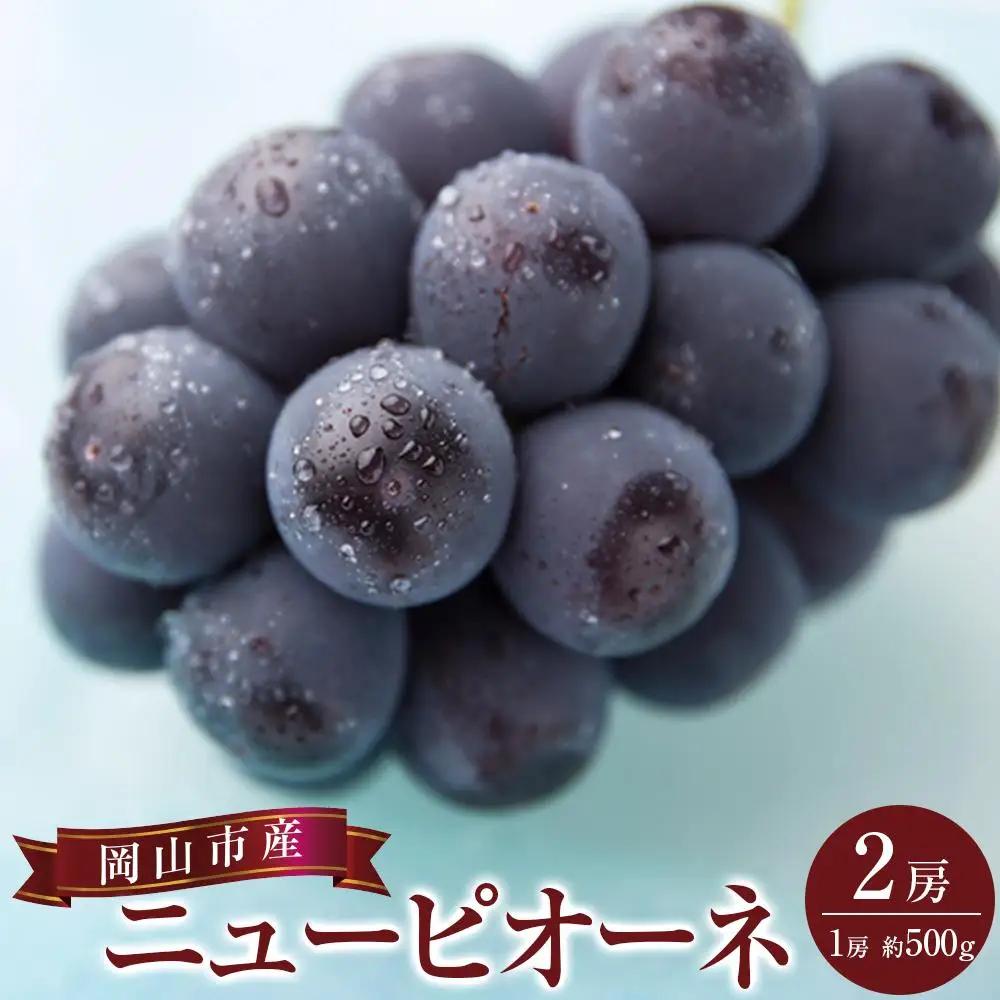2027年 先行予約  ニュー ピオーネ 2房（1房約500g） 岡山市産 ぶどう フルーツ ギフト