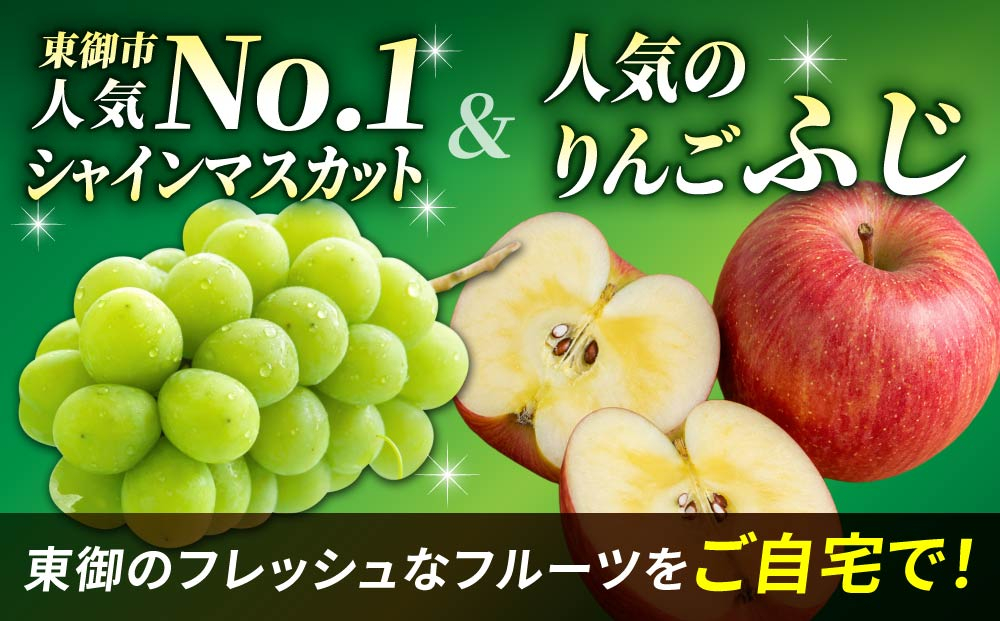 【2回定期便】人気のぶどう・りんご（シャインマスカット・ふじ）｜JA信州うえだ農業協同組合 長野県 東御市産