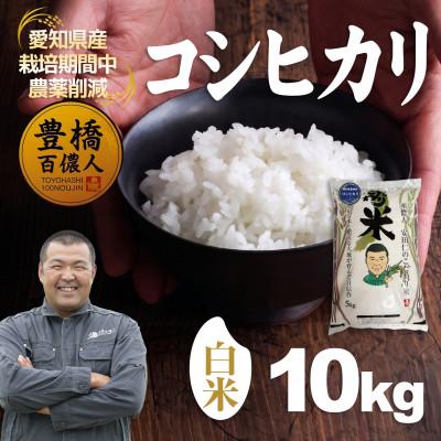 ふるさと納税 豊橋市 【栽培期間中農薬削減】令和7年産 コシヒカリ白米10kg 愛知県 豊橋市 産地直送