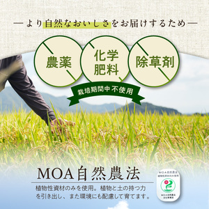 【先行予約】令和8年産 新米 【定期便6回】カワノ農園　MOA自然農法米「森のくまさん」白米10kg 米 無農薬 ブランド米 自然農法プラチナ 白米 カワノ農園 安心 安全 体に優しい 食品 送料無料