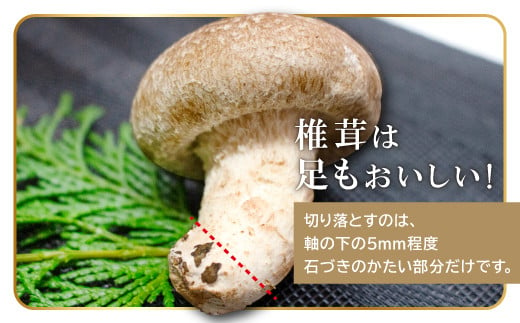 椎茸は足もおいしい！切り落とすのは、軸の下の5mm程度。石づきのかたい部分だけです。