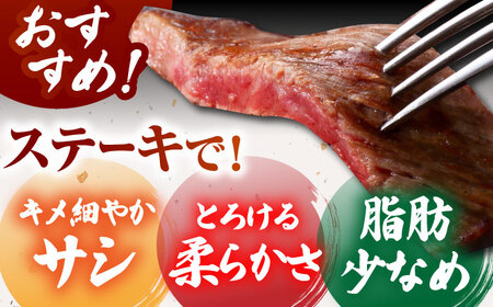【肉の旨味を凝縮！】佐賀牛 赤身ステーキ 300g 【がばいフーズ】A5ランク 佐賀牛[HCS087]