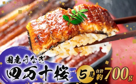 【贈答用】極上国産うなぎ四万十桜 蒲焼き約140g×5尾 | 完全無投薬 うなぎ 鰻 蒲焼き 国産 四万十鰻 白焼き 調理済み タレ付き ギフト（お歳暮/お正月）高級 お取り寄せ グルメ 食べ比べ 冷凍