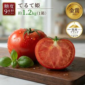 フルーツトマト 約1.2kg てるて姫 トマト 2027年産 
