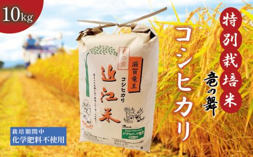 新米 【令和6年9月上旬より順次発送】 こしひかり 白米 10kg  2024年産 竜の舞 化学肥料不使用 特別栽培米 国産 安心 安全 近江米 米 お米 白米 お弁当 玄米 産地直送 滋賀県 竜王町 送料無料