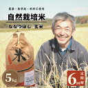 【ふるさと納税】＜令和6年産新米＞北海道厚真町産　農薬不使用・自然栽培の角田玄米　5kg（ななつぼし)定期便6ヵ月コース