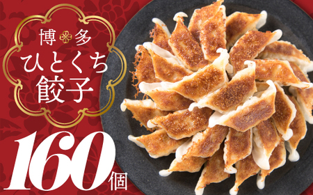 福岡・博多の味 博多一口餃子 160個入(40個入×4P)