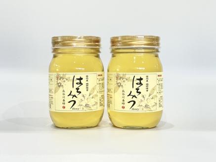 【6月1日より価格改定】 国産 はちみつ アカシア 500ｇ×2本入り セット ／ 長谷川養蜂 希少 ハチミツ 蜂蜜 三重県 南伊勢町