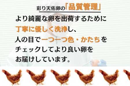 【卵定期便3か月連続お届け】平飼い八雲鶏卵 彩り天佑卵 10個×3パック 定期便卵30個/月 卵合計90個 卵3回定期便 おいしい卵の定期便 卵焼き 卵かけご飯 卵料理に！