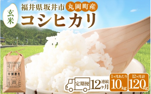 【令和8年産・新米】【12ヶ月連続お届け】福井県坂井市丸岡町産 コシヒカリ10kg×12回 計120kg（玄米） [O-11304_02]