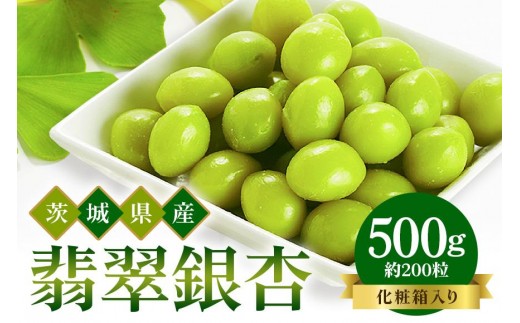 
            つくば 銀杏 ( ぎんなん ) 蒸し 冷凍 翡翠銀杏 ( ひすいぎんなん ) 500g 農薬不使用 無着色 贈答品 ギフト 高級 旬 食材 食品 国産 冷凍保存 産地直送 送料無料 (A24-002)
          