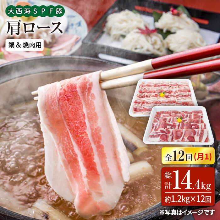 【ふるさと納税】【月1回約1.2kg×12回定期便】大西海SPF豚 肩ロース（焼肉＆しゃぶしゃぶ用）計14.4kg 訳あり ＜大西海ファーム＞ [CEK124] 長崎 西海 豚肉 ブランド豚 国産 豚バラ スライス しゃぶしゃぶ 鍋 贈答 ギフト 甘い やわらかい 焼肉 BBQ