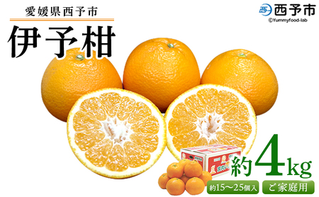 ＜愛媛県西予市産 伊予柑 ご家庭用 約4kg＞ 約15～25個入り 訳あり 果物 くだもの フルーツ みかん ミカン オレンジ 柑橘 イヨカン いよかん 食べて応援 特産品 宇都宮物産 愛媛県 西予市【常温】『2026年1月上旬～2月下旬迄に順次出荷予定』UUB0003