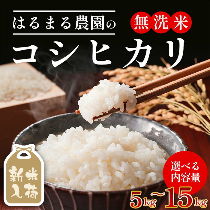 【ふるさと納税】＜先行予約受付中！2026年8月下旬以降順次発送＞＜選べる容量＞令和8年産 京都丹波福知山産 はるまる農園のコシヒカリ 無洗米(5kg/10kg/15kg) 米 こめ ご飯 ごはん 白米 コシヒカリ こしひかり 特別栽培米 新米【fc-CN001-R8】【はるまる農園】