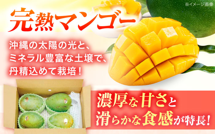 【2026年発送・数量限定】 【贈答用】 沖縄県産キーツマンゴー 約2kg (2～5玉 / 化粧箱入り) マンゴー 沖縄 果物 フルーツ ギフト 沖縄市 / ちゃんぷる～市場 [BCAA006]