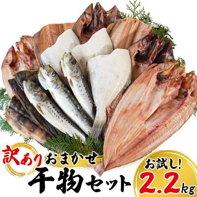 ふるさと納税 鹿部町 訳あり干物 詰め合わせ 2.2kg R22