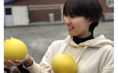 彩り柑橘園 土佐文旦3kg 贈答用 文旦