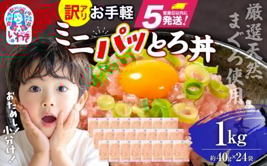 ねぎとろ 約1kg（約40g×24パック）小分け 冷凍 個包装 使い切りパック 1人前 まぐろたたき まぐろ
