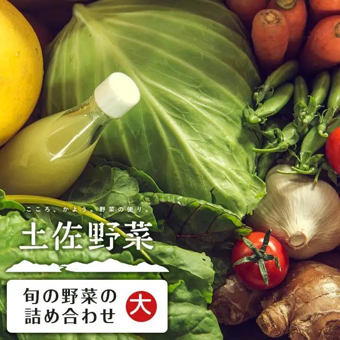 やさい 10~13品目 詰め合わせ セット 南国市 やさい