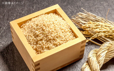 R7年度産 新米 ヒノヒカリ 玄米 5キロ 5kg お米 米 コメ ごはん ご飯 げんまい 大阪府高槻市/高槻あぐり[AOCS031]