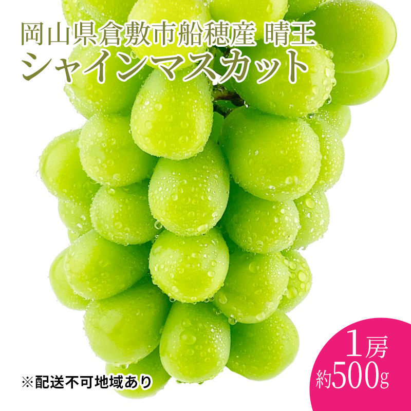 ぶどう 2024年度分 先行予約 【プレミアムシャインマスカット 晴王 1房 約500g】船穂産　赤秀品以上  岡山県産 葡萄 ブドウ ギフト ハレノフルーツ 皮ごと食べる みずみずしい