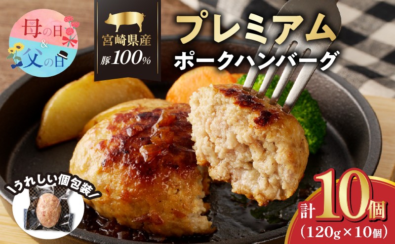 
                  【選べる発送時期】宮崎県産豚プレミアムハンバーグ(計10個) 母の日 父の日 肉 豚肉 加工品 惣菜 国産_T001-0105-o
                