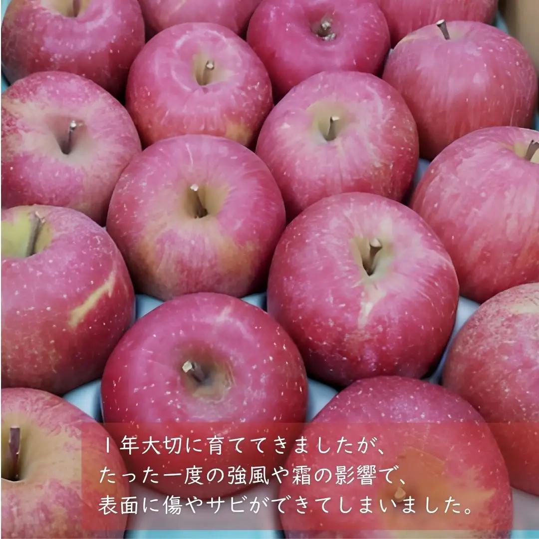 KR18 サンふじ 家庭用 小玉 約5kg（17～20玉） 長野県松川町産／11月下旬頃～配送予定//長野県 南信州 リンゴ 林檎 ふじ さんふじ 小玉サイズ 訳あり 自家用 農家直送 農家支援 産地