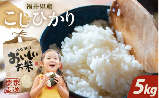 【先行予約】【令和8年産・新米】【白米 5kg】 コシヒカリ 5kg ～本原農園からまごころコメて～ 【2026年10月上旬以降順次発送】【お米 こしひかり 白米 玄米 5キロ 選べる 精米 ブランド米 ごはん ご飯 おいしい ふるさと納税米 産地直送 農家直送】 [A-8934_01]
