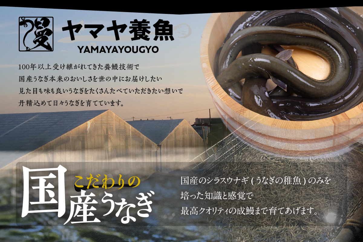 【定期便6ヶ月】三河高浜産三代目養鰻家の白焼きうなぎ 特大5尾
