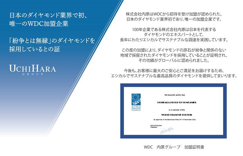 アルカンシェル プラチナダイヤペンダント（計 0.5ct）【鑑別書付き ジュエリー プレゼント ギフト ファッション アクセサリー 贈り物 贈答 お祝い 記念日】 J002-2