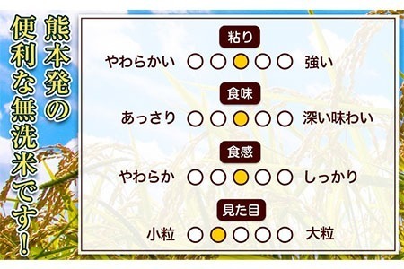 【6ヶ月定期便】熊本ふるさと無洗米 5kg 訳あり《お申込み月の翌月から出荷開始》