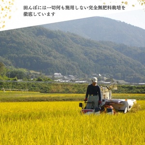 米 令和5年産【七分つき】自然栽培米 にこまる ＜農薬を一切使わない無肥料栽培＞ 分つき米５kg・精米したて 《2023年産 京都丹波産 無農薬米栽培向き 厳選品種》