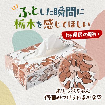 ふるさと納税 小山市 【2箱入り】使い切りパック!栃木の魅力ティッシュボックス　150w×2箱　※配送不可地域:離島・沖縄 |  | 03