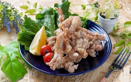 中津からあげ骨なしモモ肉・金賞せせり各500g×1中津彩鶏々～イロトリドリ～ 自宅調理用 唐揚げ 揚げるだけ 大分 おかずセット 弁当 簡単調理 お惣菜