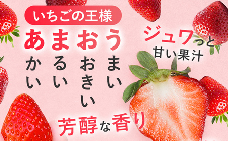 紅白いちごセット（あまおうと天使のいちご）いちご フルーツ 果物 あまおう 天使のいちご 白いちご 2パック 1パック約250g～270g 食べ比べ 福岡 苺 イチゴ 紅白【2025年2月～2025年