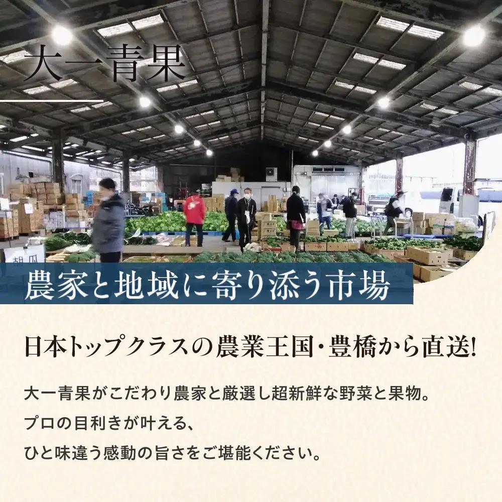 《先行予約》豊橋市産 キャベツ 3玉（計3.5kg） 産地直送
