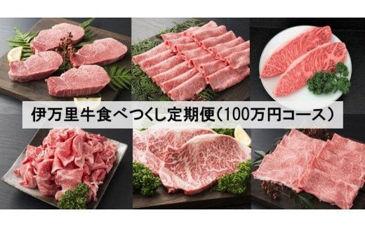 
【伊万里牛】 食べつくし 定期便 6回便 モモスライス入り ヒレステーキ 100万円コース J254
