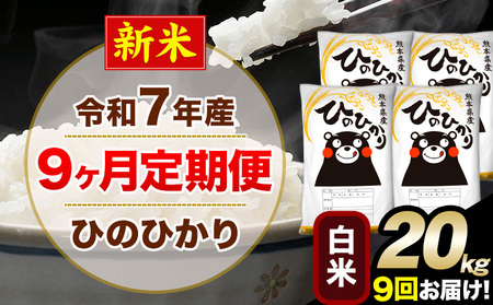 令和7年産 白米 【9ヶ月定期便】 ひのひかり 20kg《お申込月の翌月から出荷開始》 白米 精米 熊本県産(南阿蘇村産含む) 単一原料米 南阿蘇村 ひの 送料無料 熊本県 SDGs むせんまい 米 コメ こめ 国産 定期便