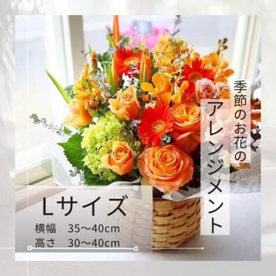 ふるさと納税 筑西市 季節のお花のアレンジメントLサイズ〜花瓶不要!届いてそのまま飾れるフラワーアレンジ